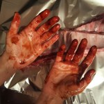 IMG_20150605_212458_resized