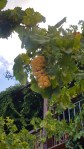 20160814_091253